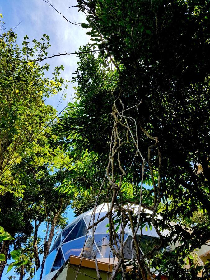 Chira Glamping Resort Monteverde الجبل الأخضر المظهر الخارجي الصورة