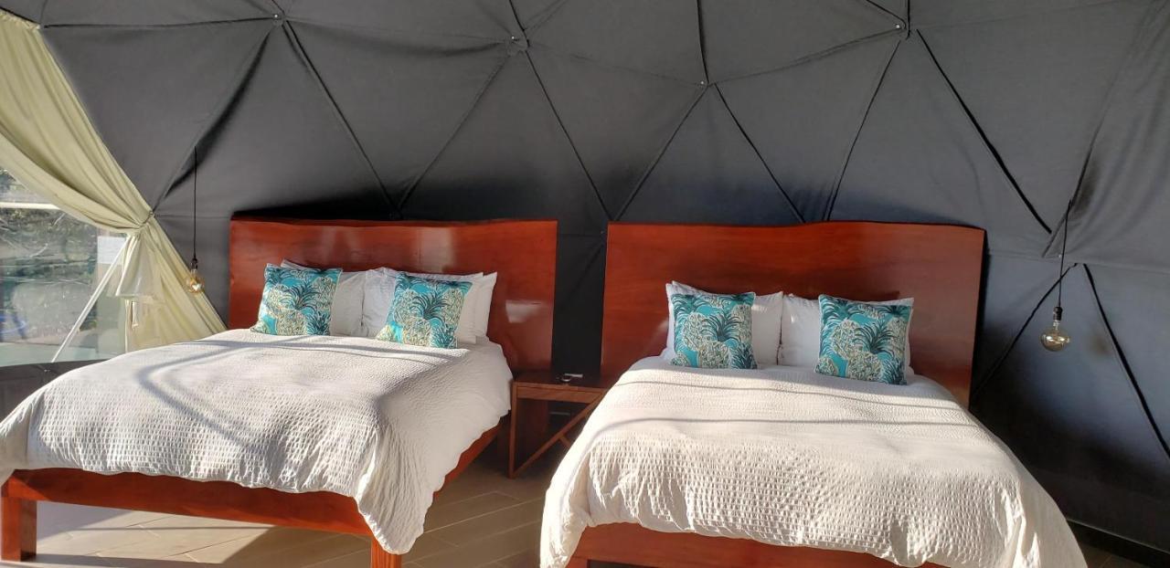 Chira Glamping Resort Monteverde الجبل الأخضر المظهر الخارجي الصورة