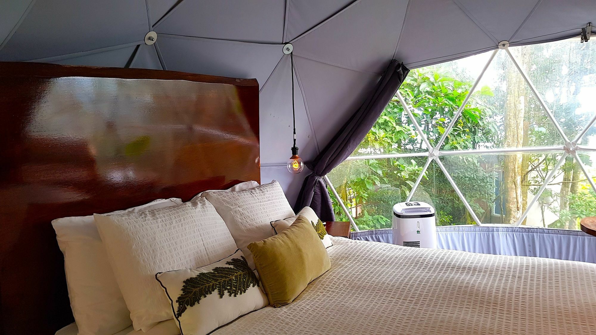 Chira Glamping Resort Monteverde الجبل الأخضر المظهر الخارجي الصورة