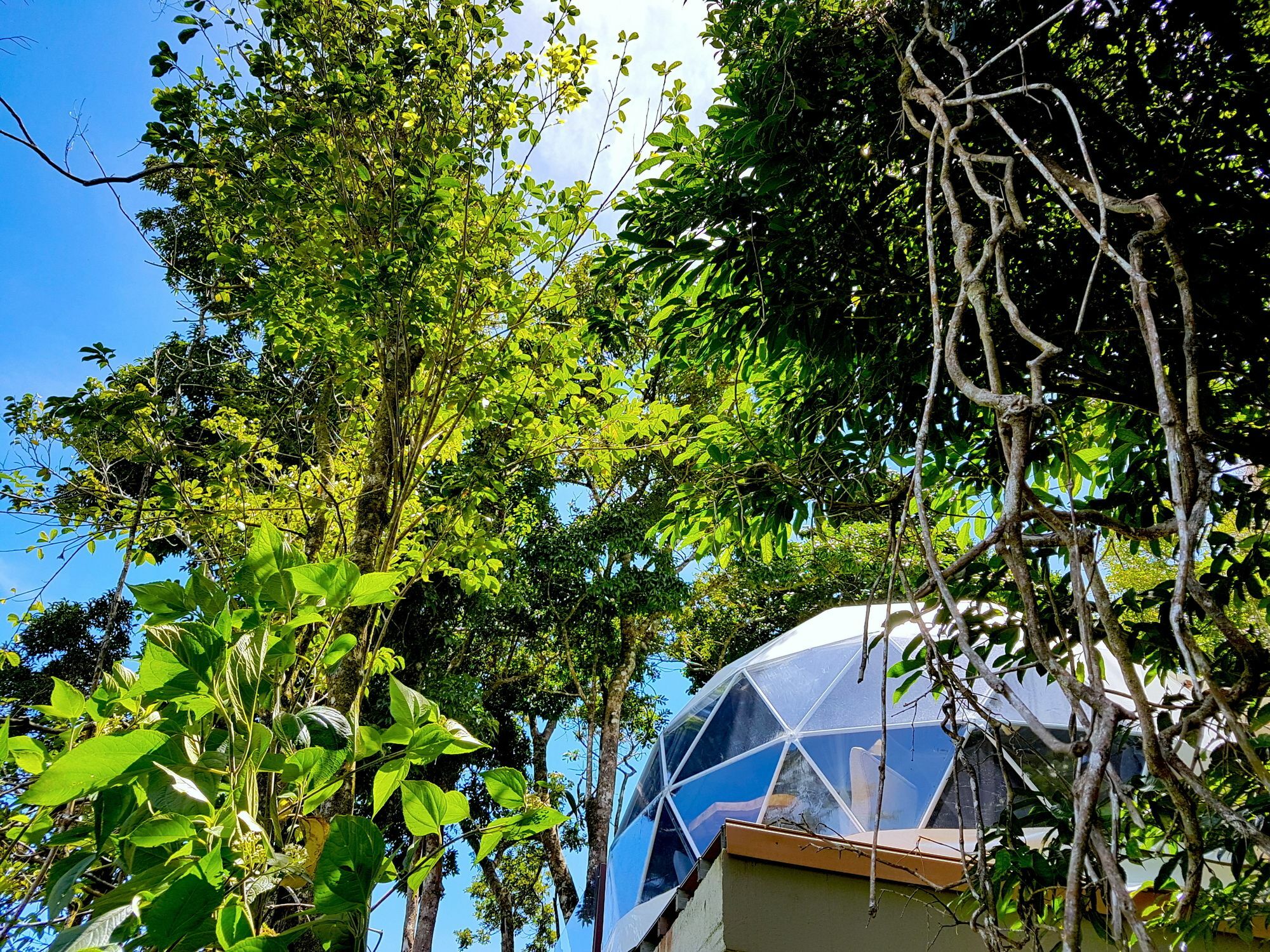 Chira Glamping Resort Monteverde الجبل الأخضر المظهر الخارجي الصورة